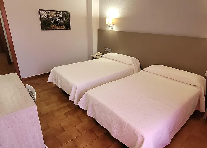 Meson De L'ainsa Hotel 3*