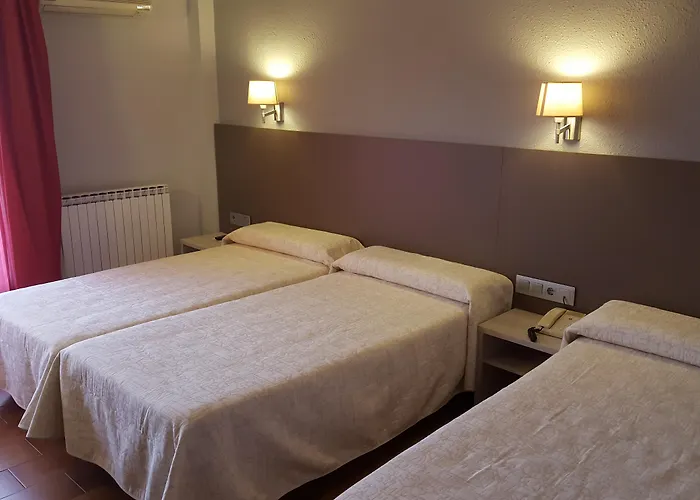 メゾン ドゥ ラインサ アインサ